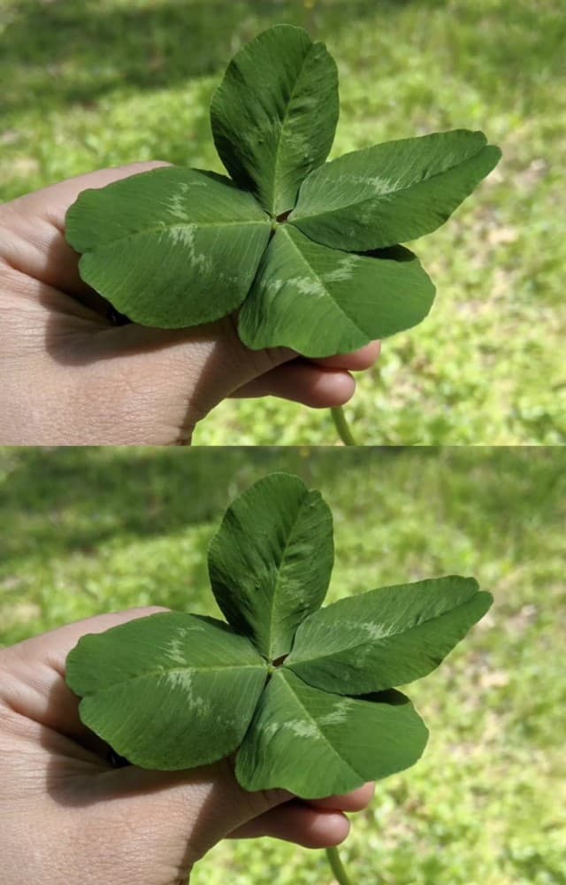 Hétfői horoszkóp: 6 csillagjegynek EXTRA mázlija lesz a holnapi naptól 🍀