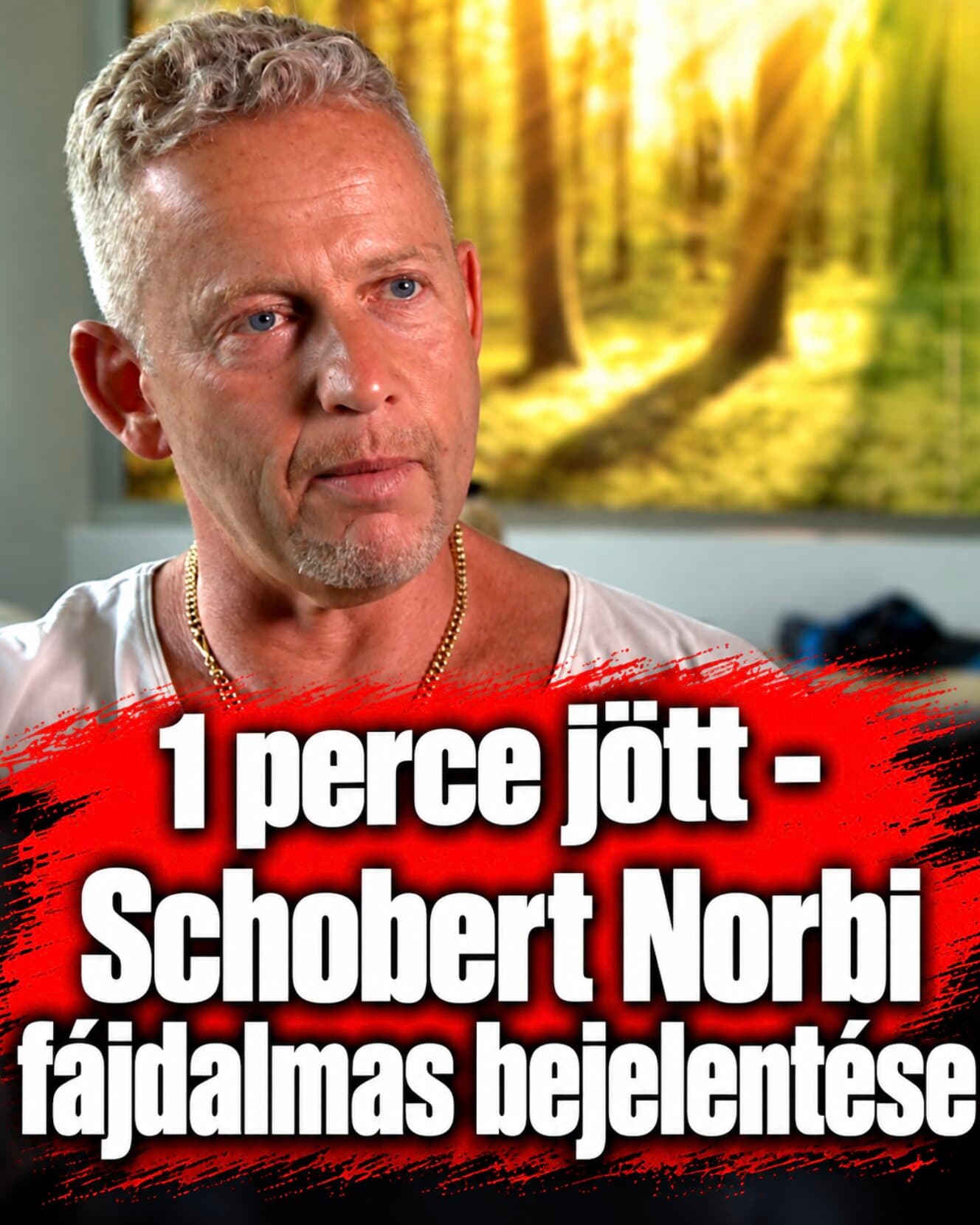Ezt képtelenség felfogni! Megszakadt az ország szíve! Schobert Norbi drámai bejelentést tett közzé percekkel ezelőtt: