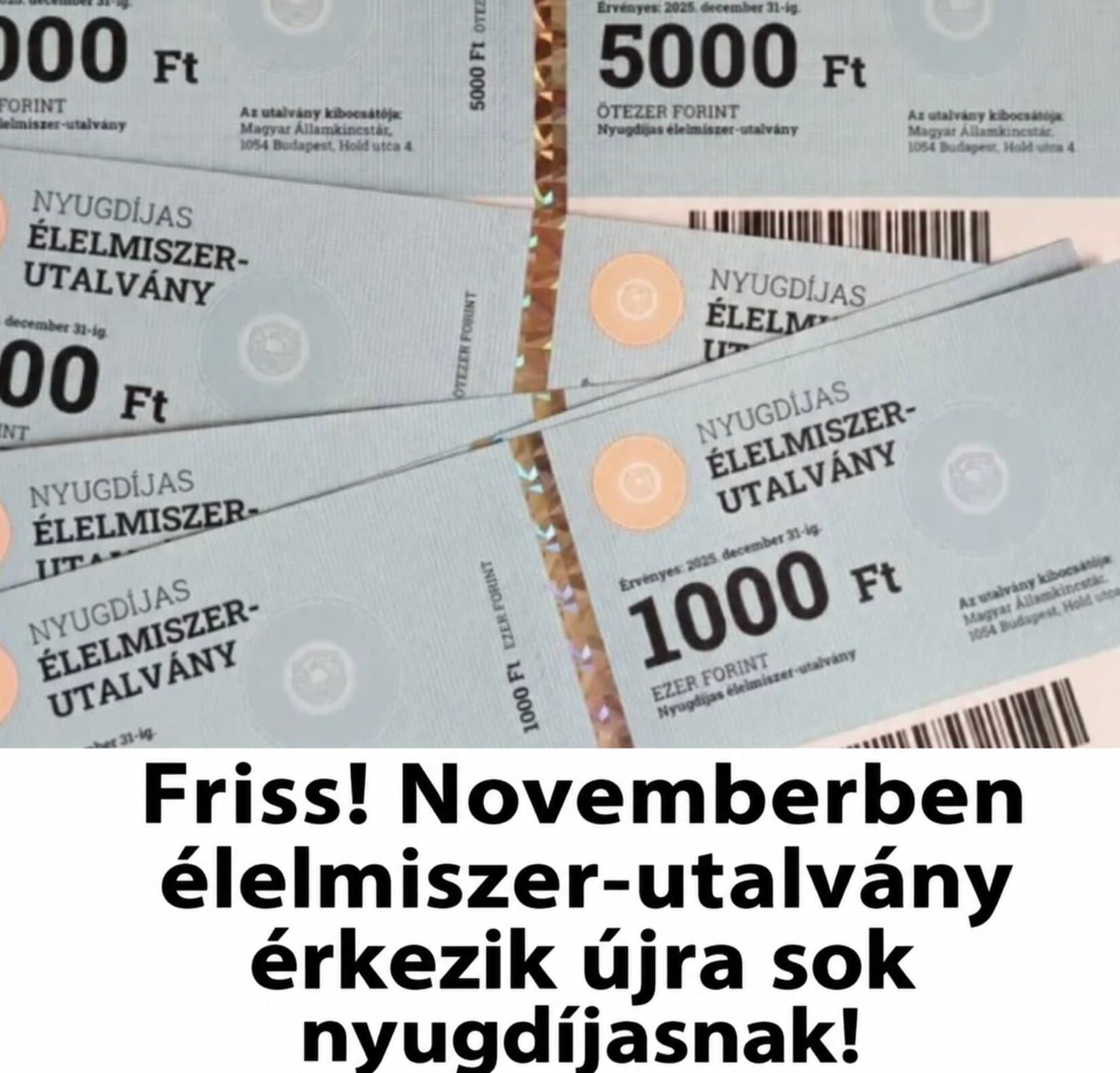 Friss! Novemberben élelmiszer-utalvány érkezik újra sok nyugdíjasnak!